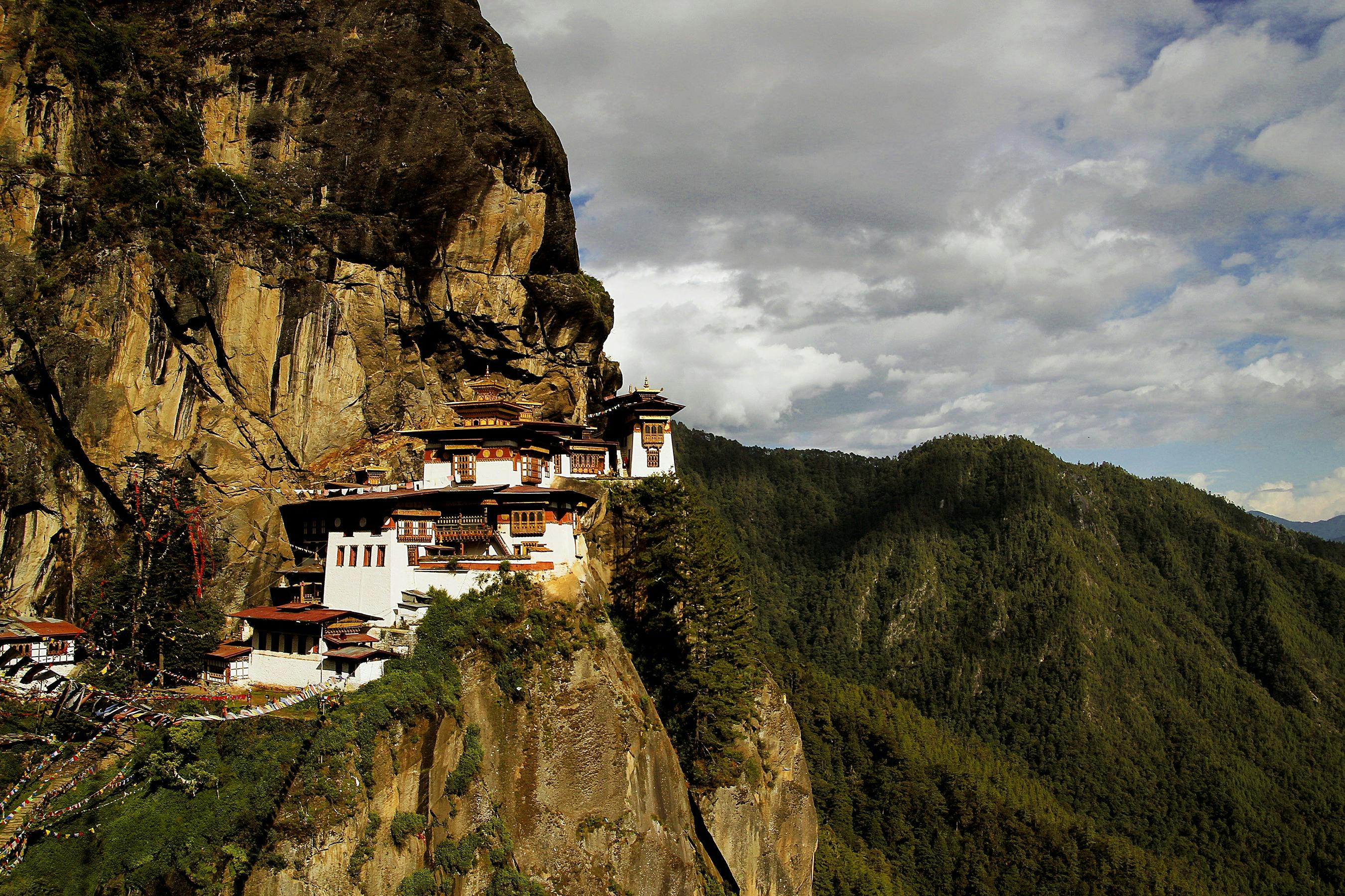 Tiger Nest