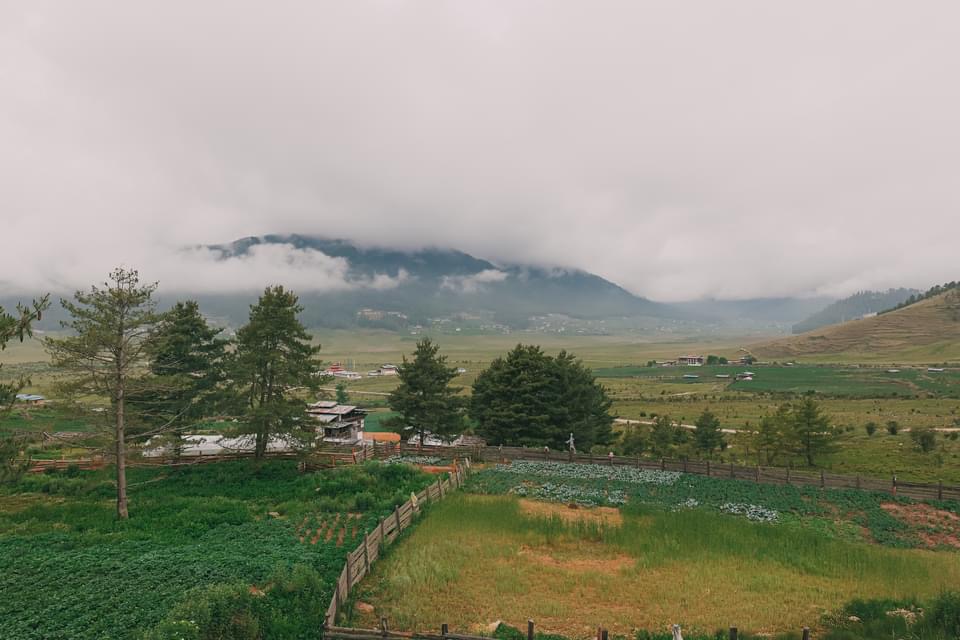 Bhutan Landscape